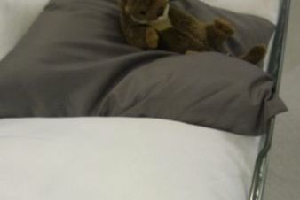 Tier in den Kissen
