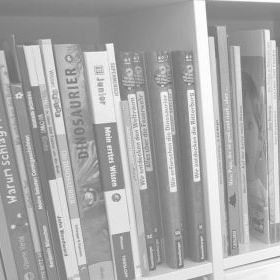Neuigkeiten und Blog Foto von Bücher-Regal